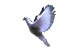 Beskrivelse: Beskrivelse: Beskrivelse: Beskrivelse: http://allmightywind.com/indexf/dove2.gif