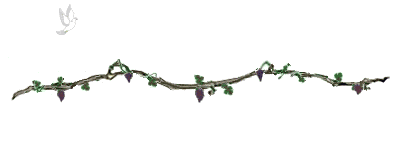 grapedove45cr.gif (45112 bytes)