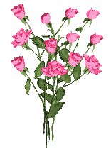 Momma SHKHINAH decorates the flower.