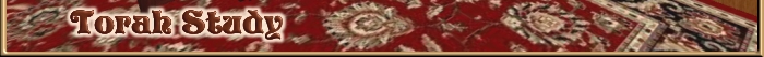 The Torah Study