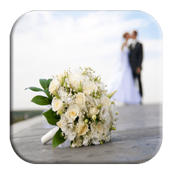 Adam and Kathrynyah's Wedding