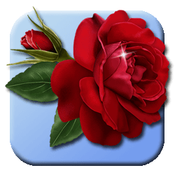 Bone of My Bones Ministry