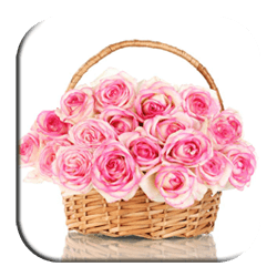 Bone Of My Bone Weddings