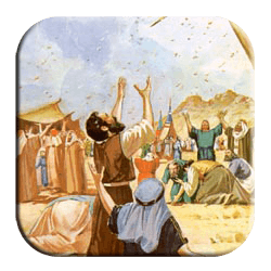 Daily Manna From Heaven