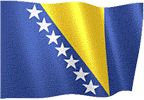 Босанска застава